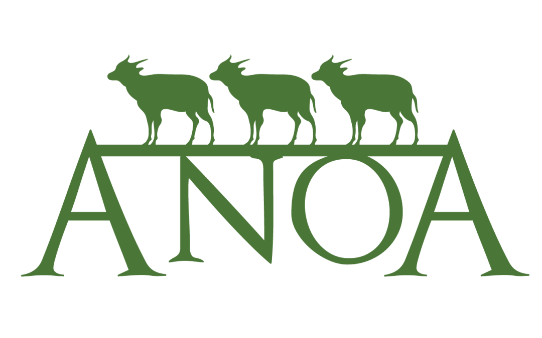 Anoa